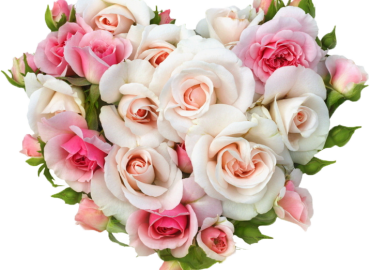 love-rose-flowers